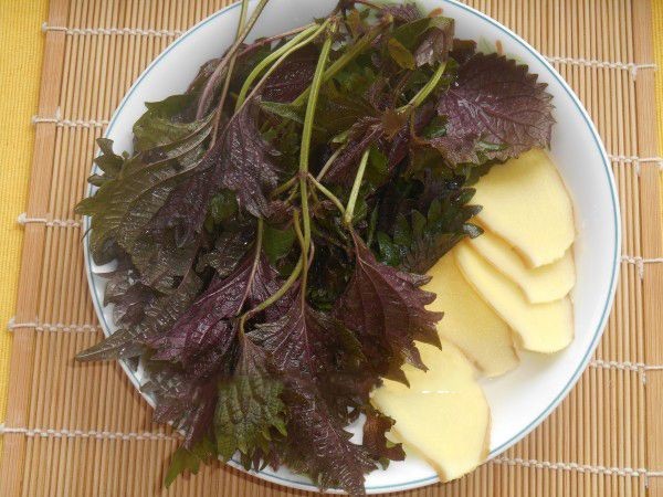 薑糖蘇葉飲預防感冒。(示意圖源:互聯網)