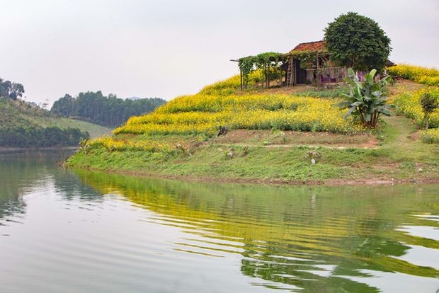 山谷湖花島上的春色 ảnh 1 山谷湖花島上的春色 ảnh 1