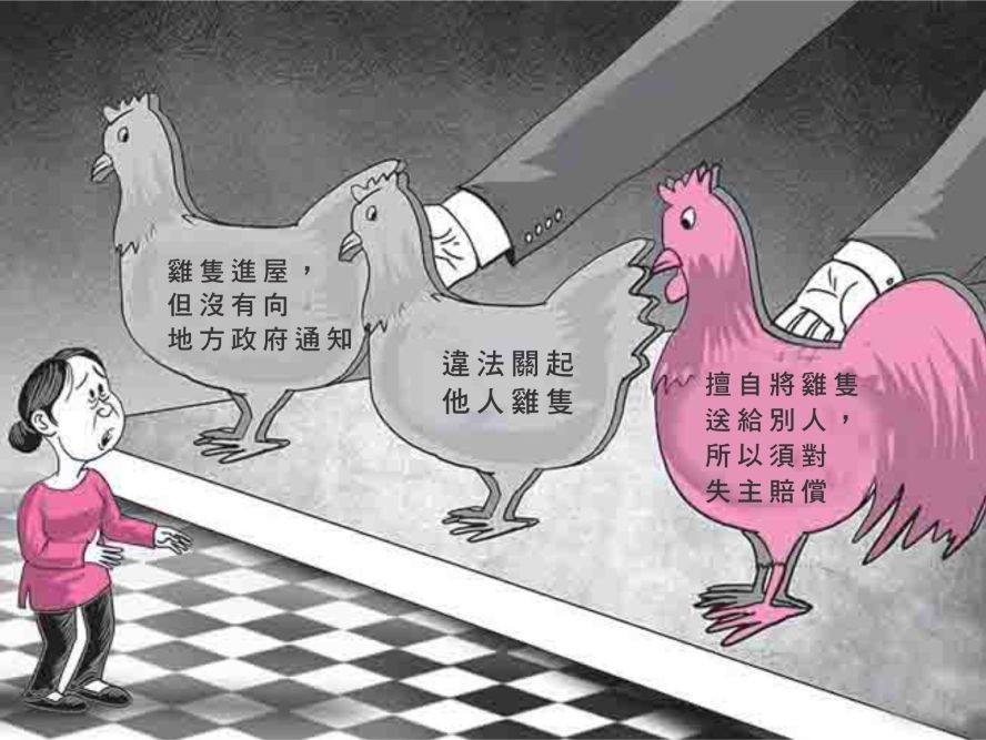 (示意圖源:DAD19)