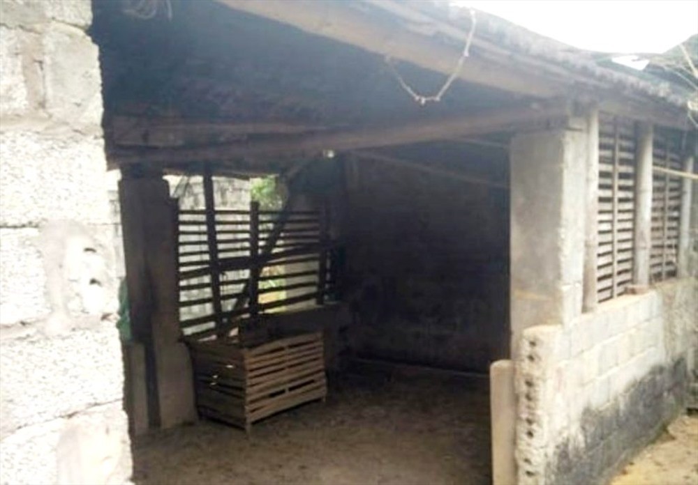 事發現場。（圖源：CTV）