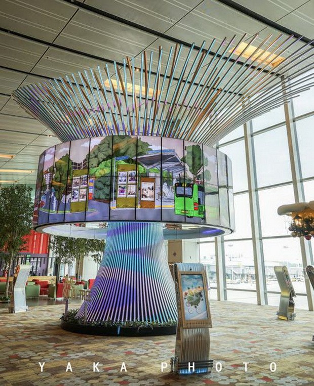 樟宜機場吃喝玩樂全攻略 ảnh 3