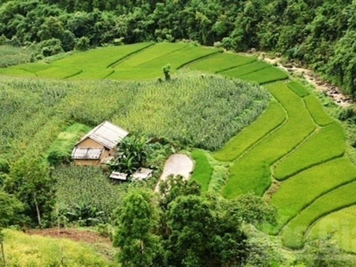 景致迷人的 同高高原 ảnh 2