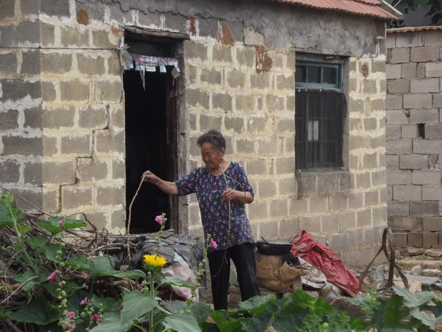 （示意圖源：互聯網）