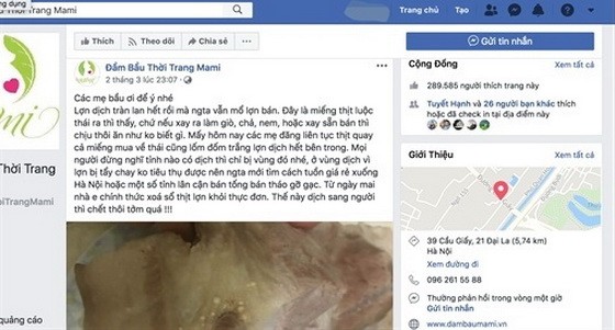 圖為媽咪時尚孕婦裝臉書粉絲專頁散佈的失實資訊。（圖源：粉絲專頁截圖）
