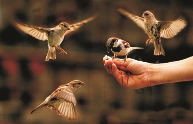 （示意圖源：互聯網）