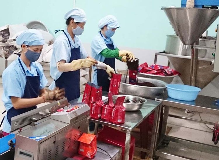 達樂省加工新鮮咖啡以提高質量。(圖源:HD)