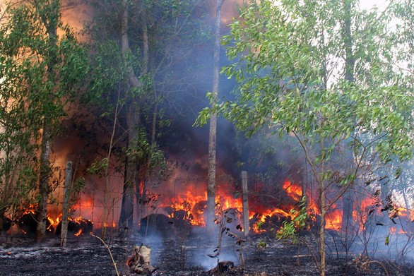 火警現場。（圖源：平安）
