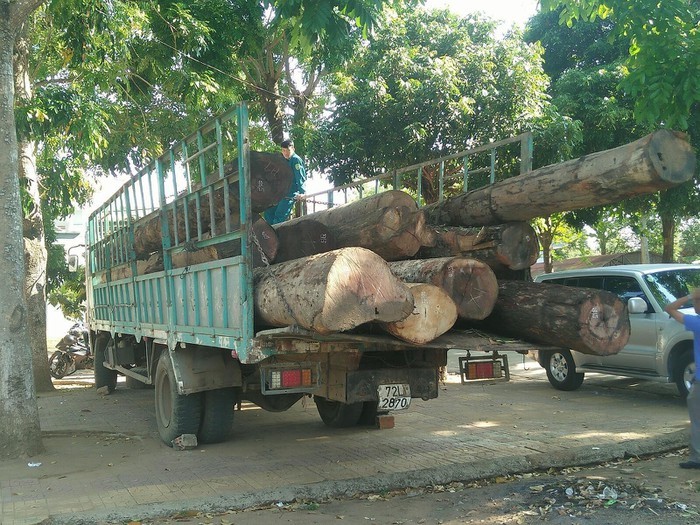 被查獲並扣留的走私木材。（圖源：友福）