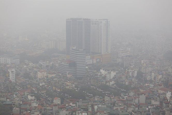 本市紫外線指數達 12 級 ảnh 1