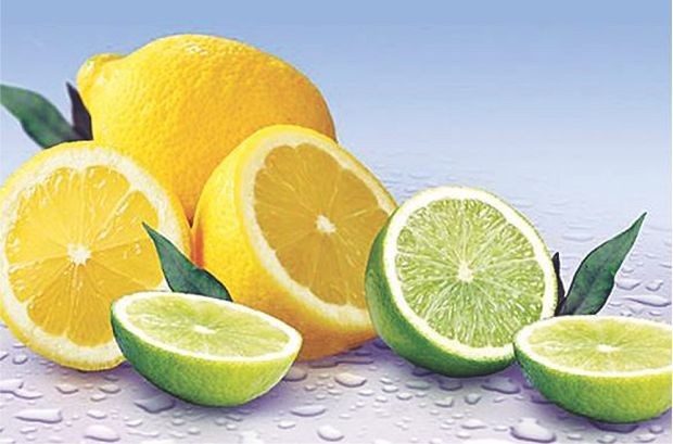 ７種酸味食物健康益處多 ảnh 4