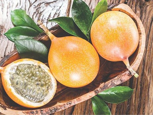 ７種酸味食物健康益處多 ảnh 6