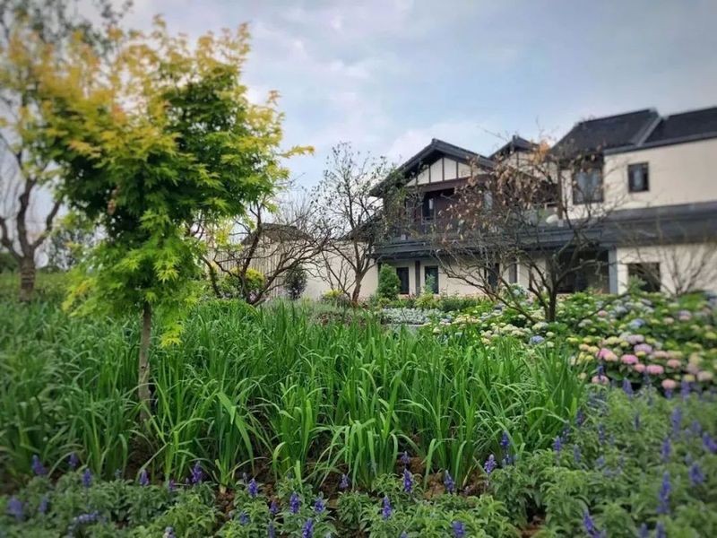 （示意圖源：互聯網）