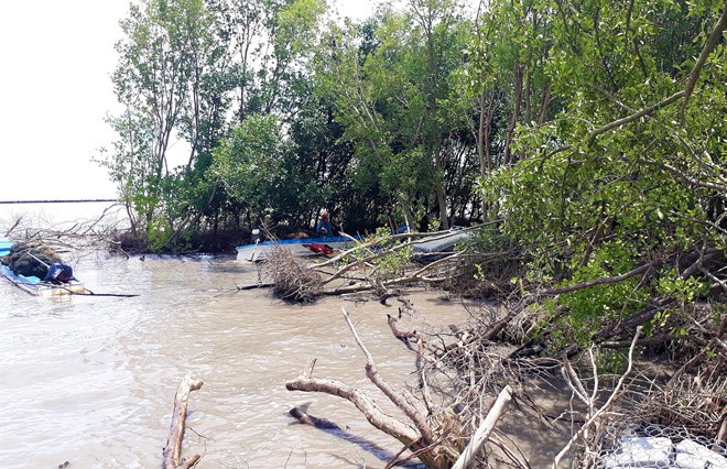 九龍江平原上萬民戶因地塌失去住房 ảnh 1