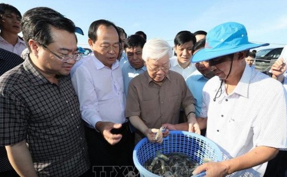 總書記、國家主席阮富仲瞭解水產加工過程。（圖源：越通社）