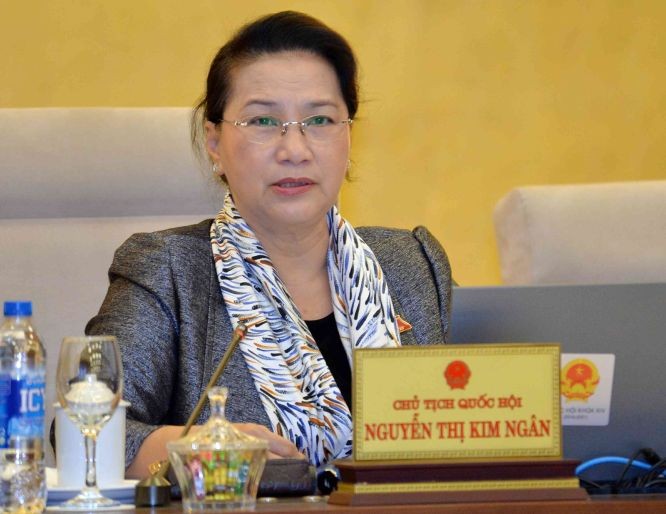 國會主席阮氏金銀在會上發表指導意見。（圖源：越通社）