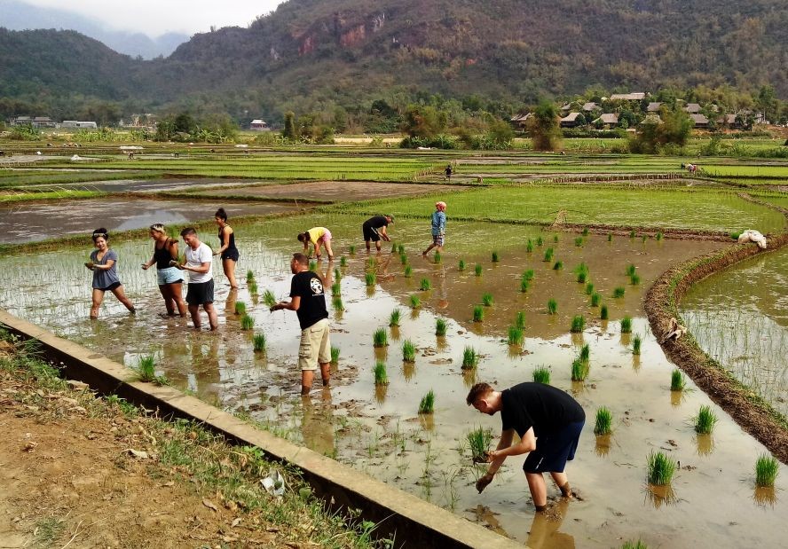 登峰造極圓美夢（五） ảnh 1