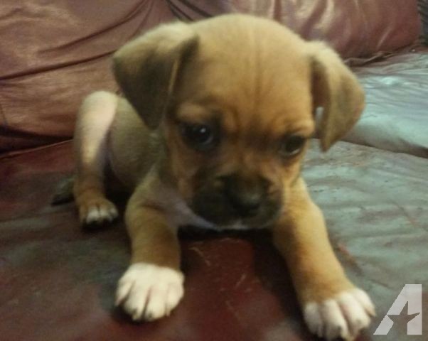 （示意圖源：互聯網）