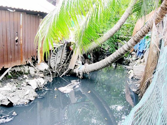 新富郡一條污染渠道。