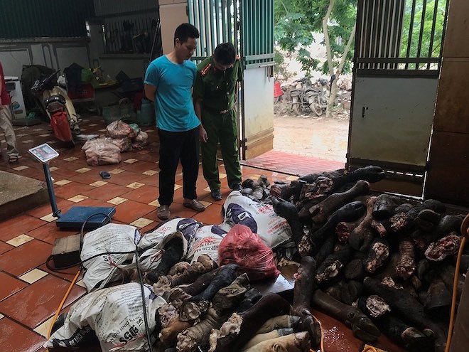 職能力量查獲來歷不明的牛蹄和家畜脾臟。（圖源：光長）