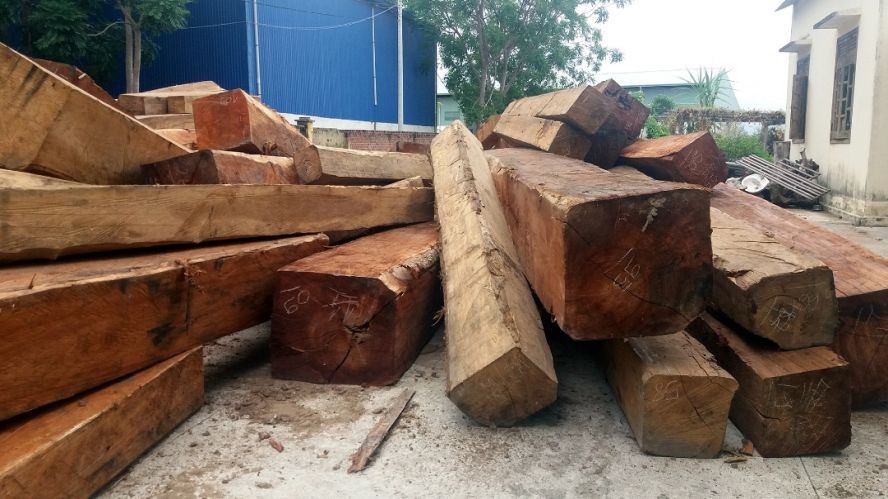 下月起非法木材無望輸往歐盟。（示意圖源：互聯網）