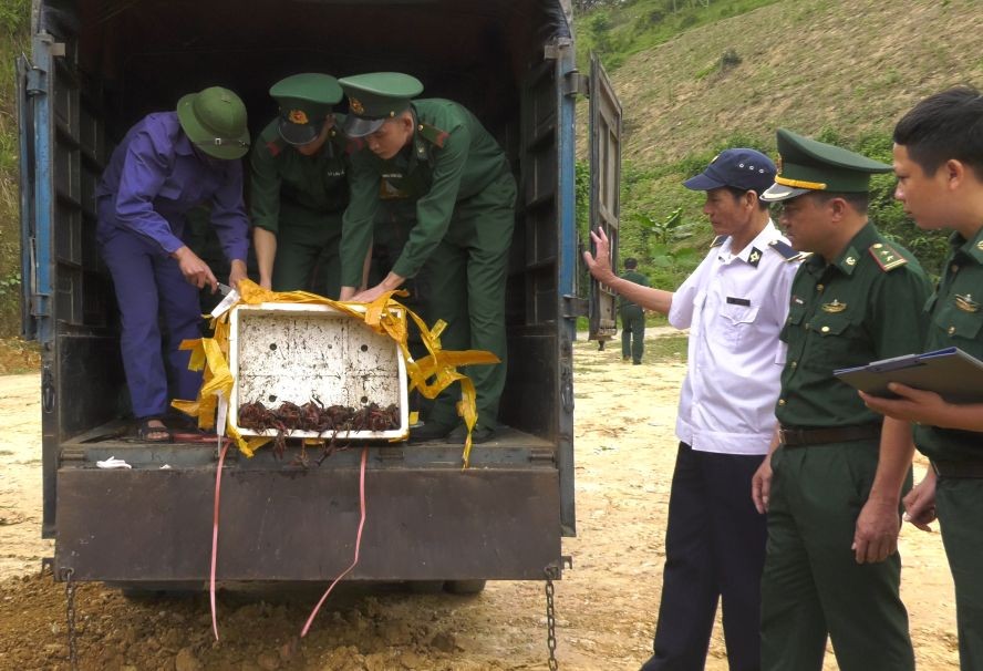 職能力量依法規銷毀全部來歷不明的食品。