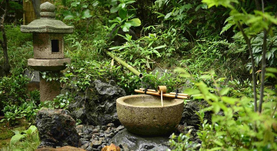 旅遊與品茗相結合景點 ảnh 1