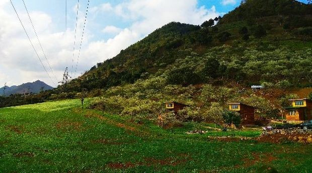 旅遊與品茗相結合景點 ảnh 4