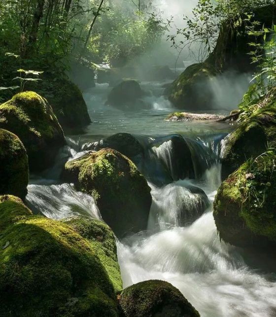 （示意圖源：互聯網）