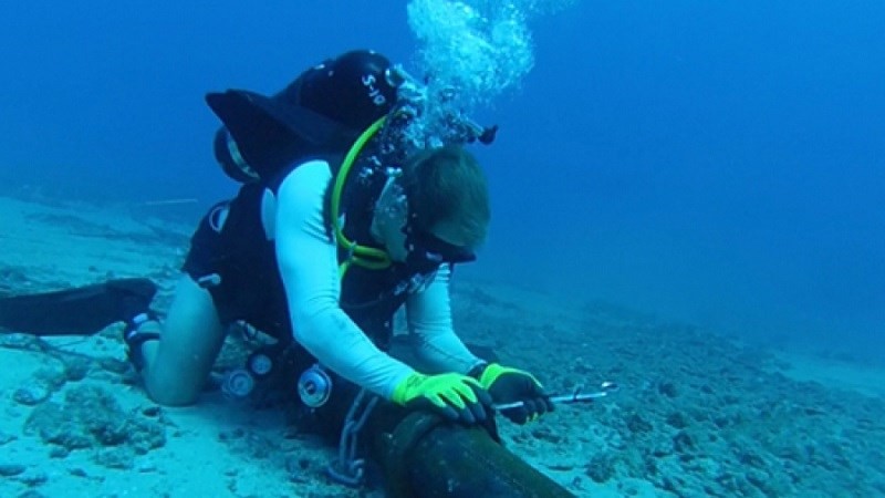 亞太直達海底光纜系統(APG)發生故障。（示意圖源：互聯網）