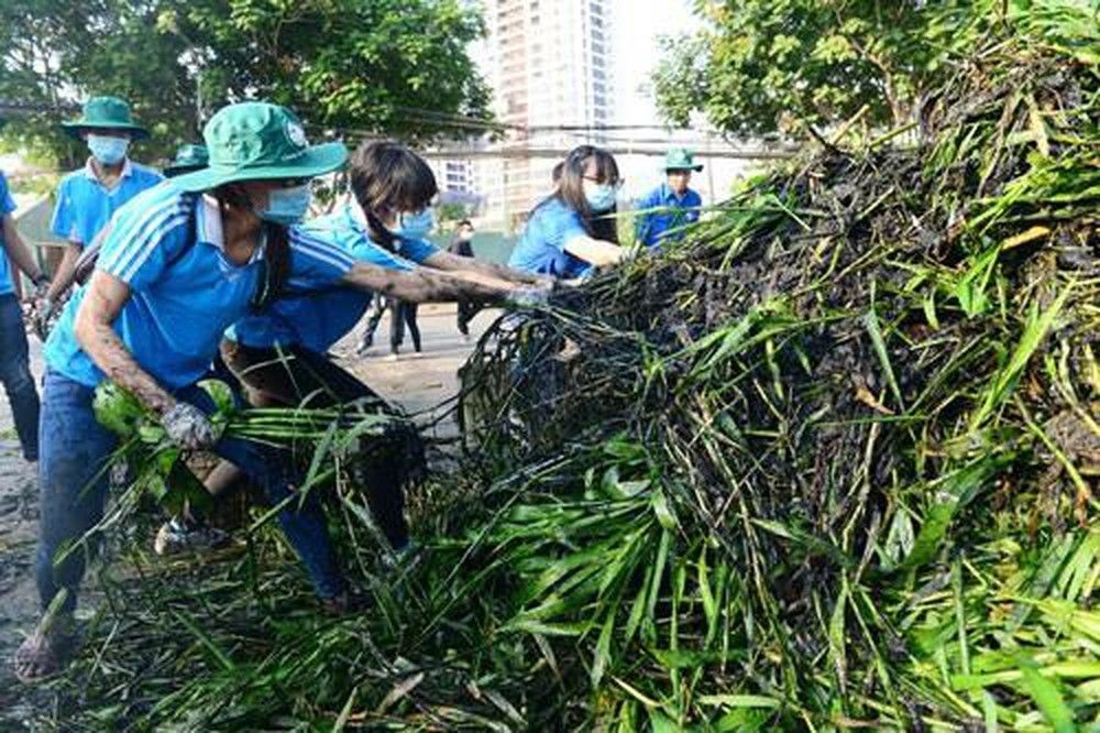 共青團團員、青年在第二郡草田坊阮文享街椰子涌疏濬涌上的浮萍。