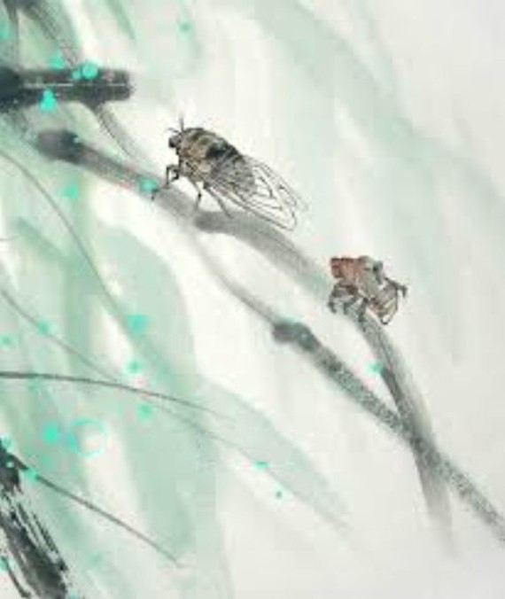 （示意圖源：互聯網） 