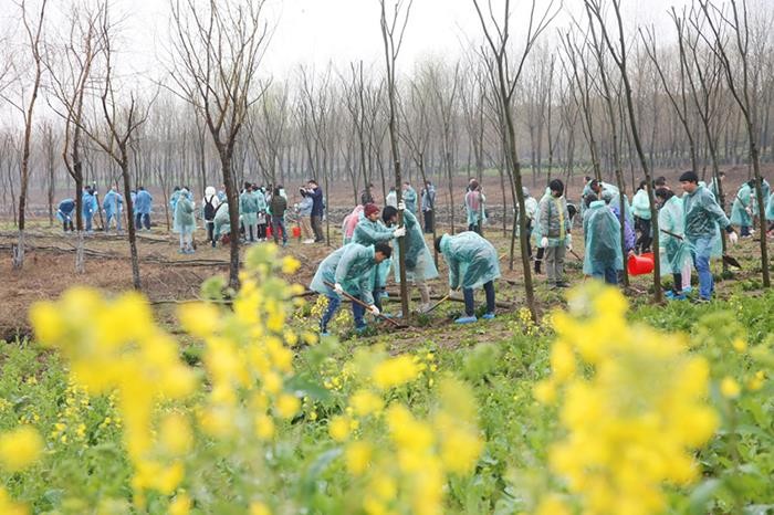 研究指出，全球植樹造林潛力大有望儲存大部分碳排放。（示意圖源：互聯網）