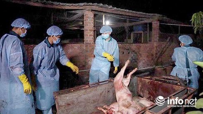 違規簽發檢疫證的幹部被停職。（示意圖源：Infonet）