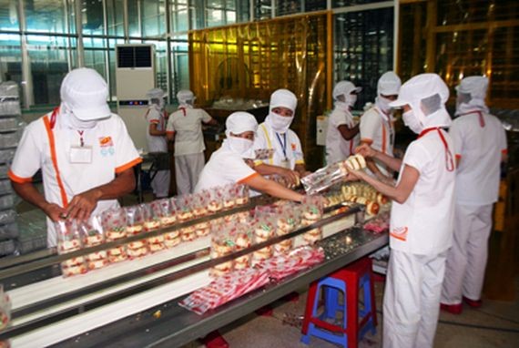 我國製餅業正日趨發展。（圖源：梅英）