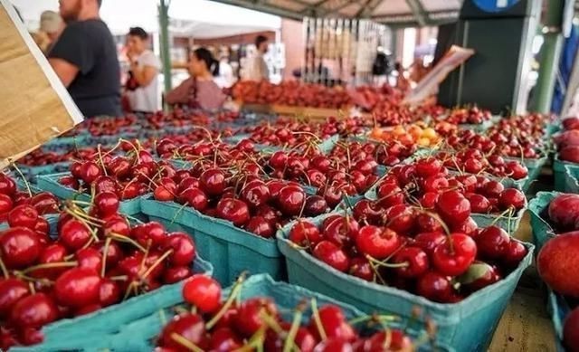 美國櫻桃價格暴跌。（示意圖源：互聯網）