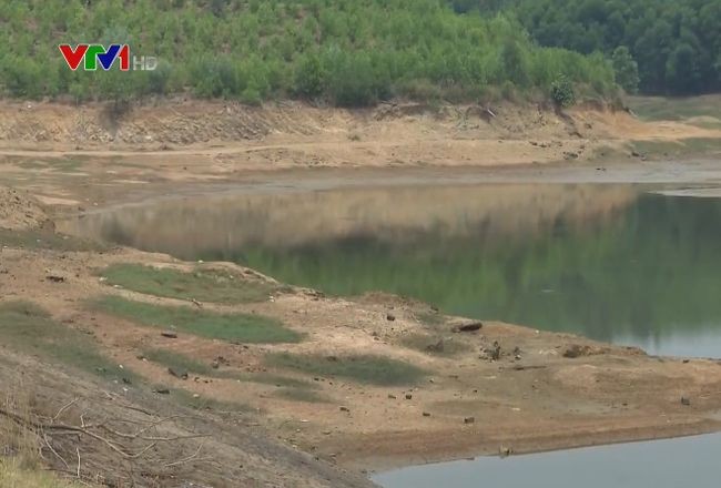 農業與農村發展部：乾旱天氣若再延續，中部區域今年夏秋造將有6萬5500公頃的水稻及農作物缺水。