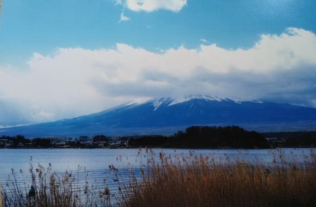 櫻花時節東京遊 ảnh 2