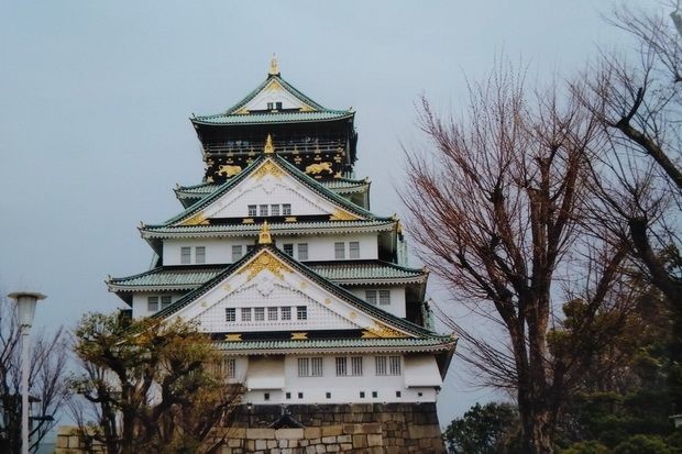櫻花時節東京遊 ảnh 1