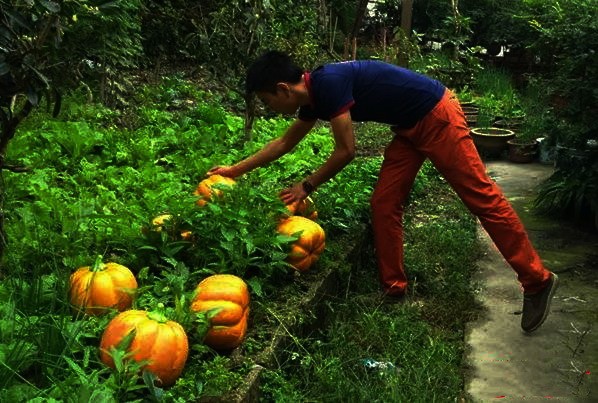 （示意圖源：互聯網） 