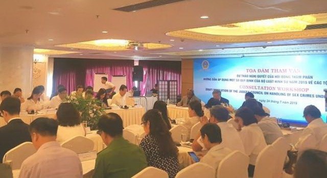 多位專家會上認為，對16歲以下者猥褻罪的《決議》第三次 草案內容明確、具體和具科學性。