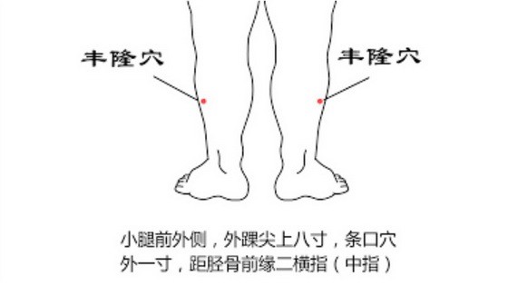 揉熱豐隆穴調節血脂