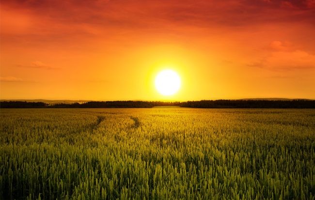 （示意圖源：互聯網）