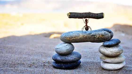 每一天的努力都會讓遠方變得更近一點。