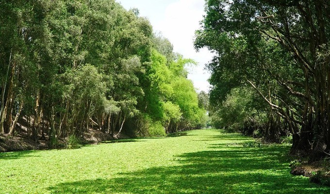 「九‧二」假期旅遊攻略 ảnh 3