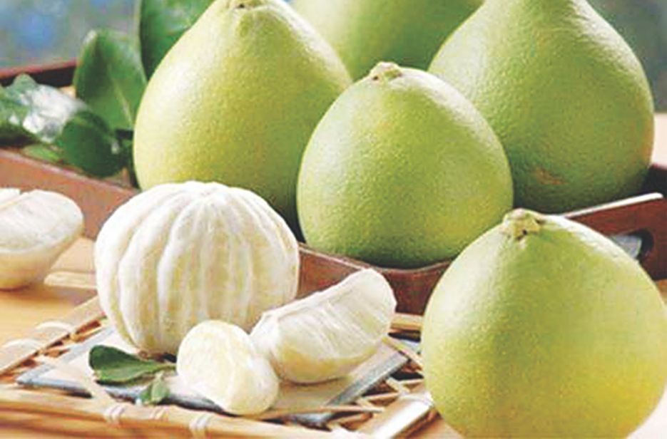 （示意圖源：互聯網）