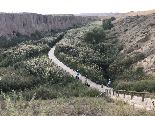 走進中國魅力寧夏 ảnh 5