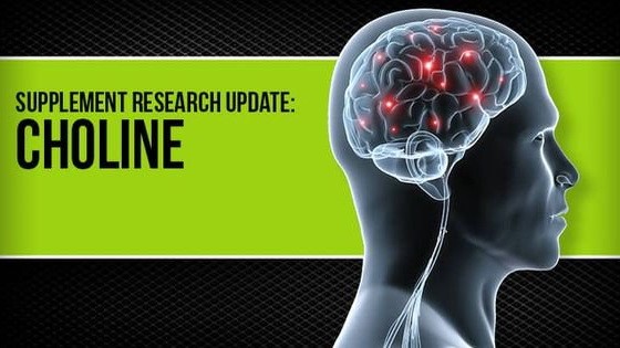 （示意圖源：互聯網）