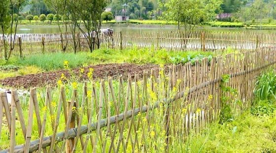 （示意圖源：互聯網）