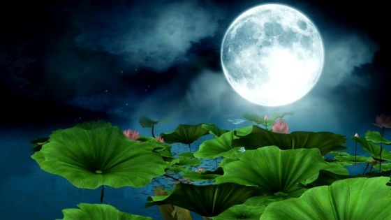 （示意圖源：互聯網）