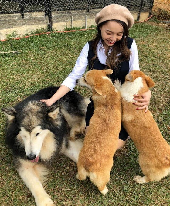 寵犬體積雖大，但卻「善解人意」。